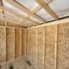 8x10 Studio Shed