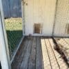 084031522HT 8x10 Dog Kennel for sale, Rental Return, Used 8x10 Dog Kennel, Rental Return