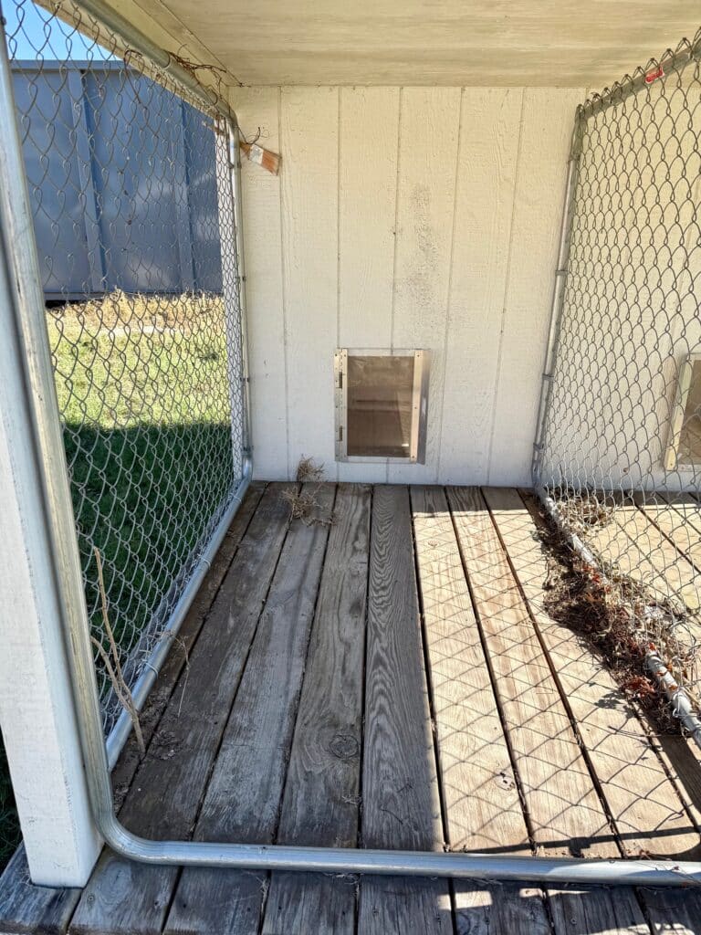084031522HT 8x10 Dog Kennel for sale, Rental Return, Used 8x10 Dog Kennel, Rental Return