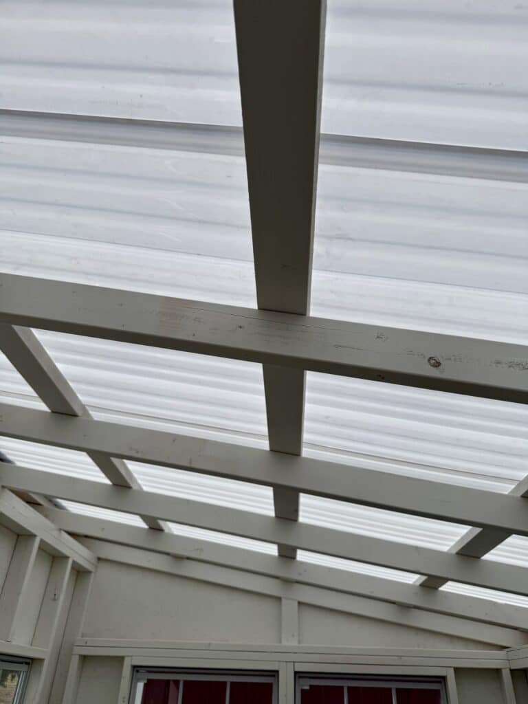 260092826 8x12 EcoStudio Greenhouse shed for sale Lott Texas Durable Outdoor Structure (7) 8x12 Eco-Studio Greenhouse