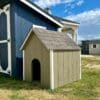 3x4 Large Dog House