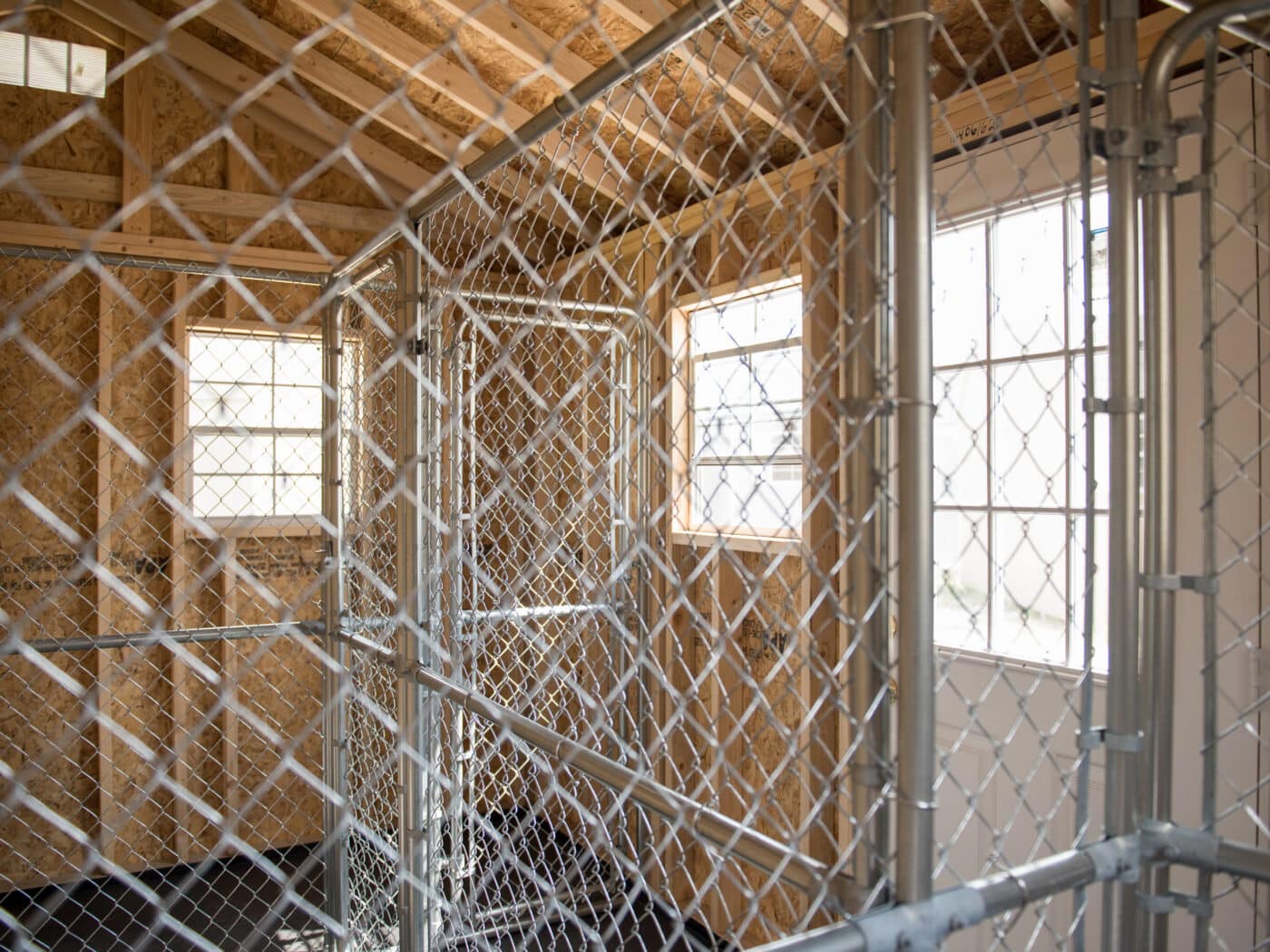 Large Dog Kennels In TX Basic Commercial Dog Kennels