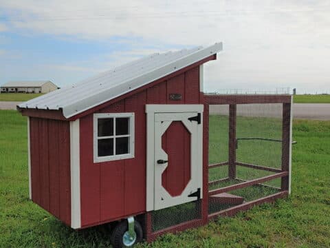 120041122 chicken tractor 2
