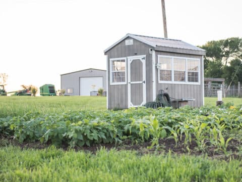 portable greenhouse for sale
